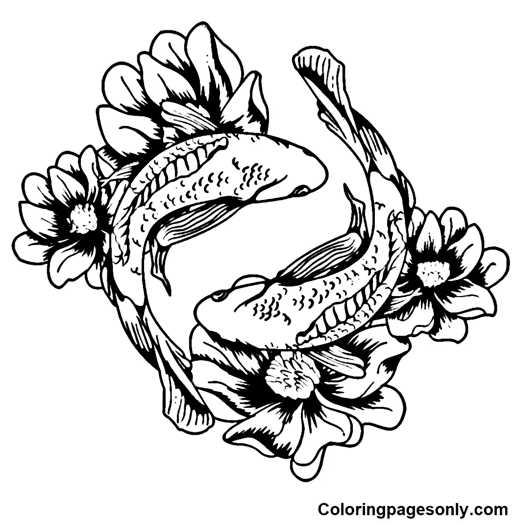 Peces Koi Para Colorear 11