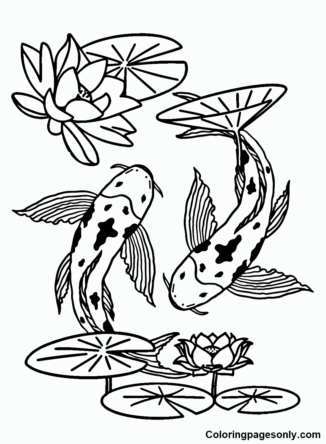 Peces Koi Para Colorear 17