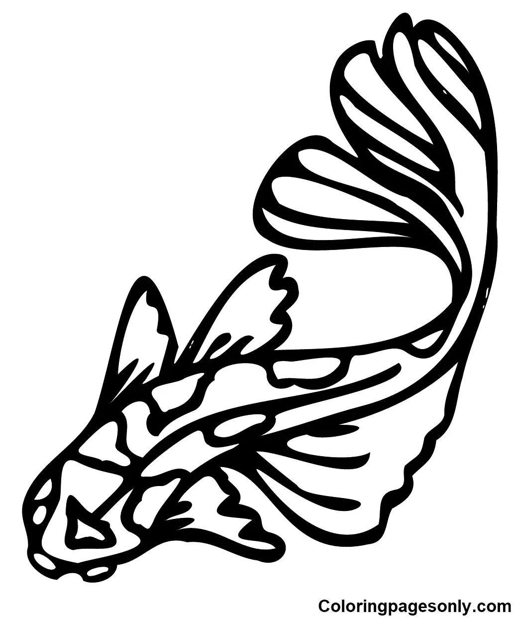 Koi Fish Coloring Pages 25