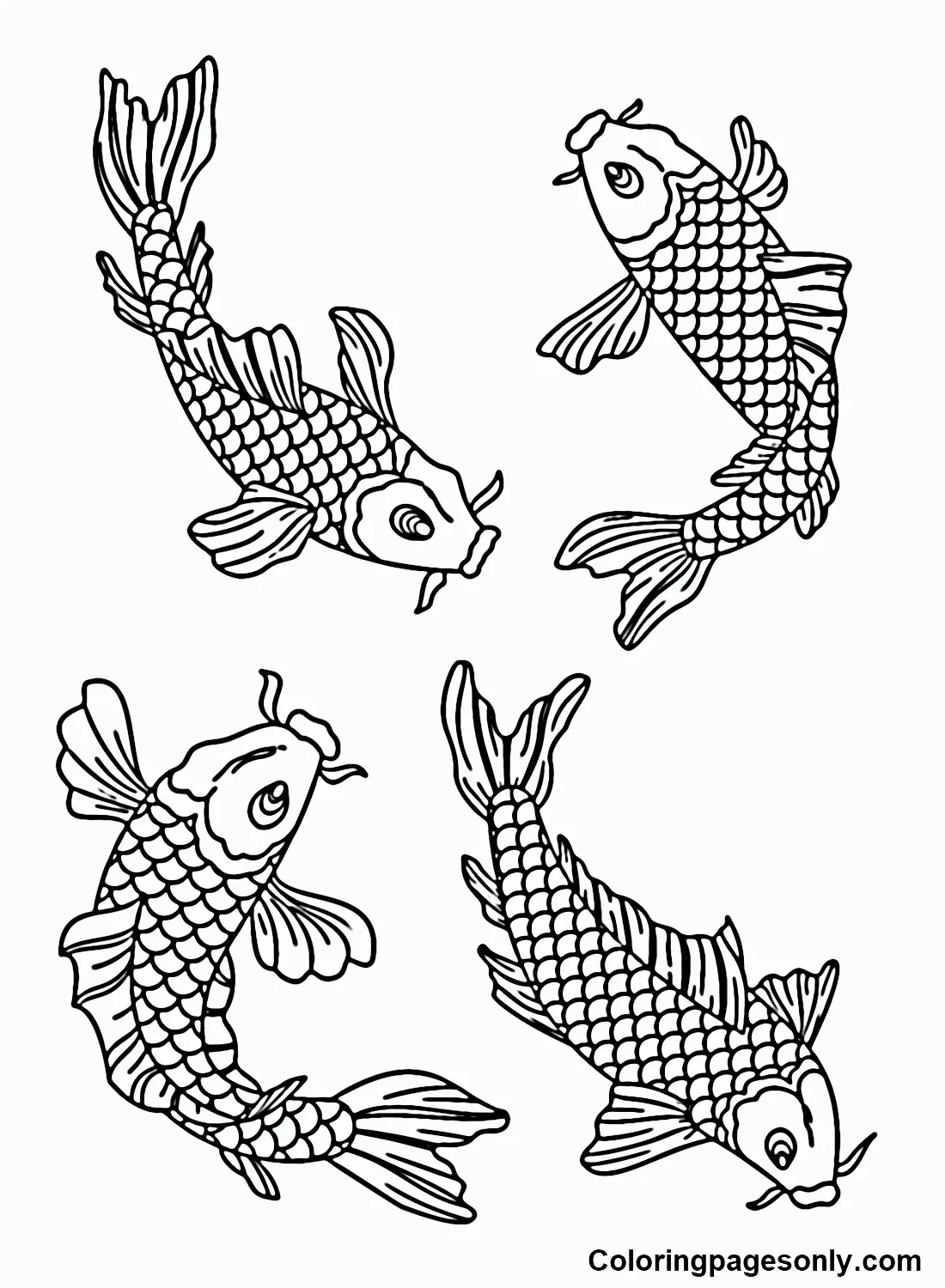 Koi Fisch Ausmalbilder 33