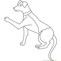 Krypto para Colorear 10