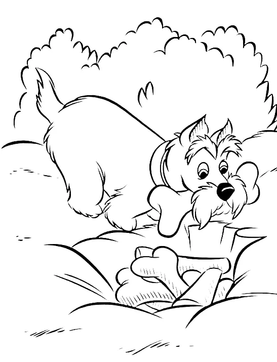 Lady and the Tramp Coloring Pages 55