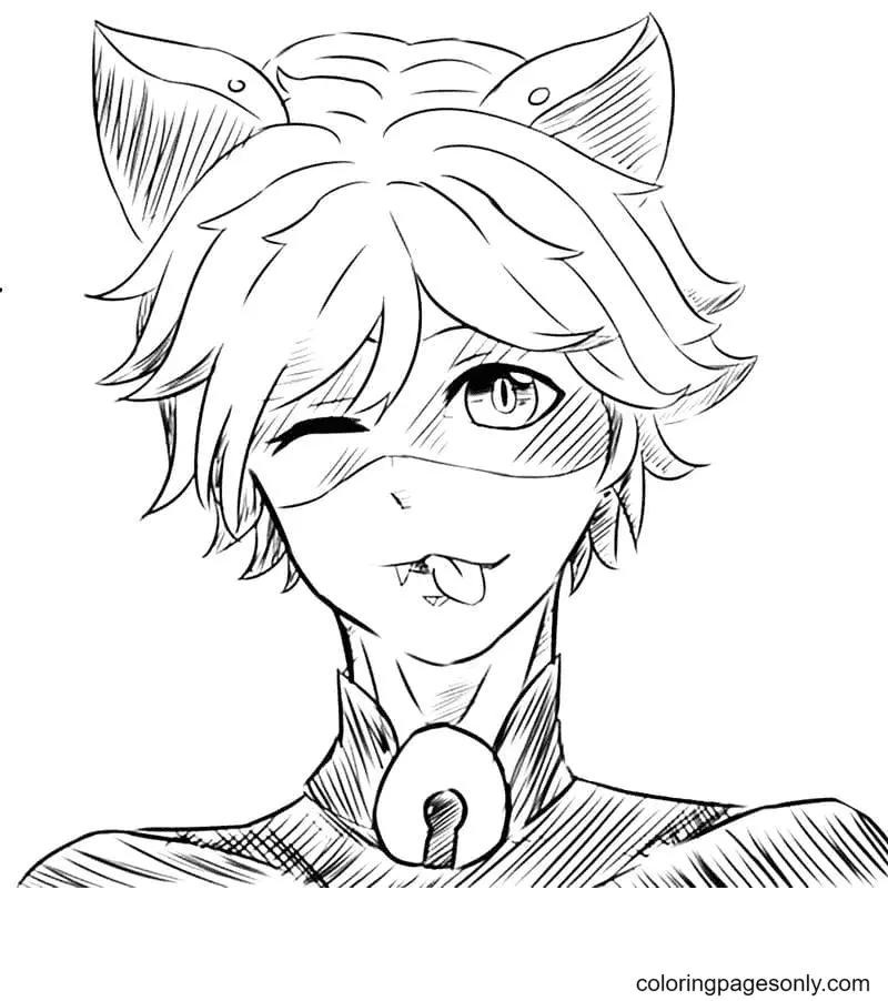 Ladybug Y Cat Noir Para Colorear 13