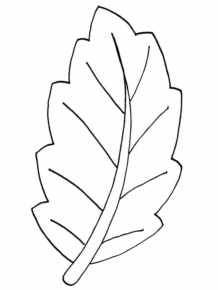 Desenhos de Folhas Para Colorir 1