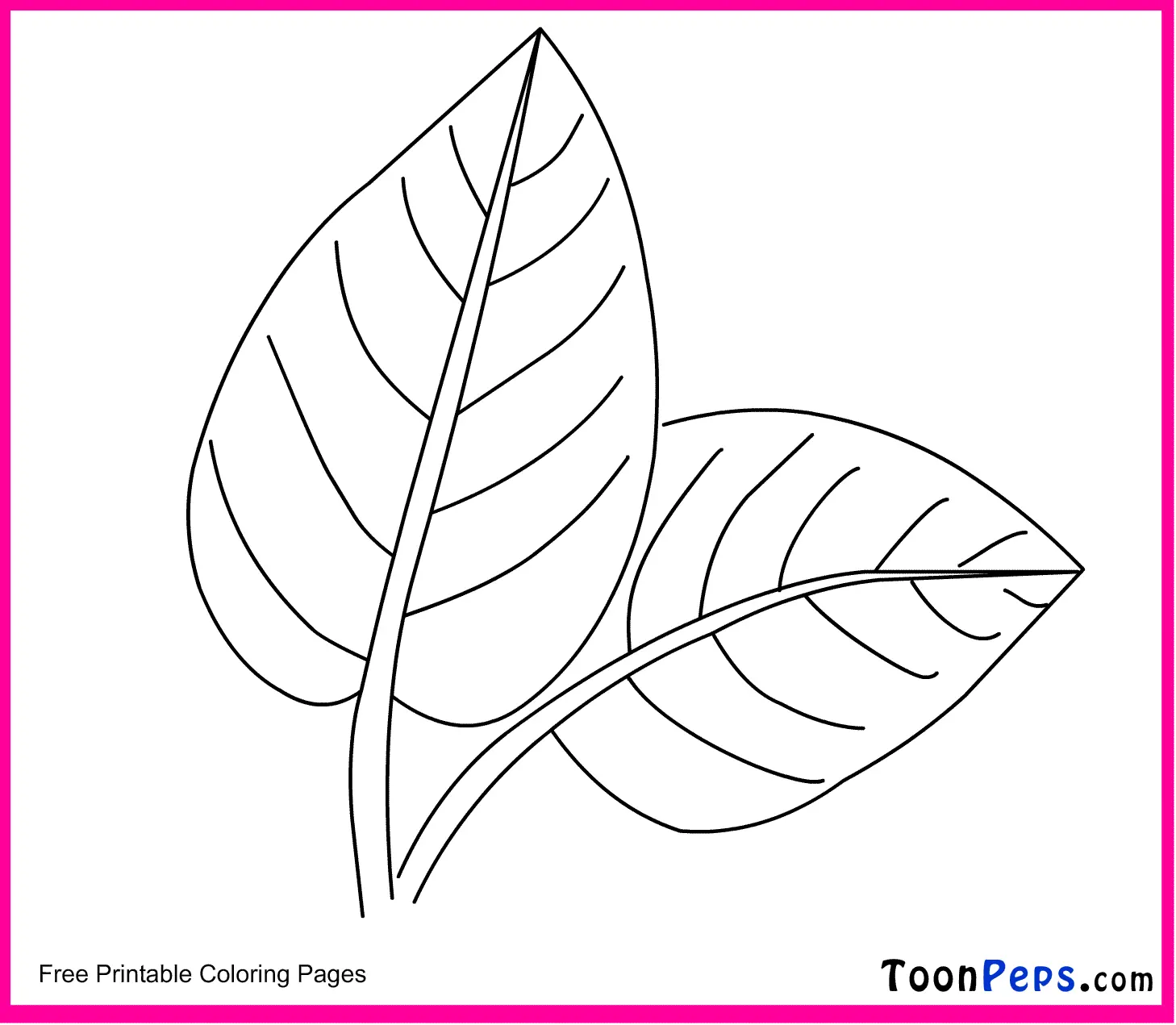 Desenhos de Folhas Para Colorir 20
