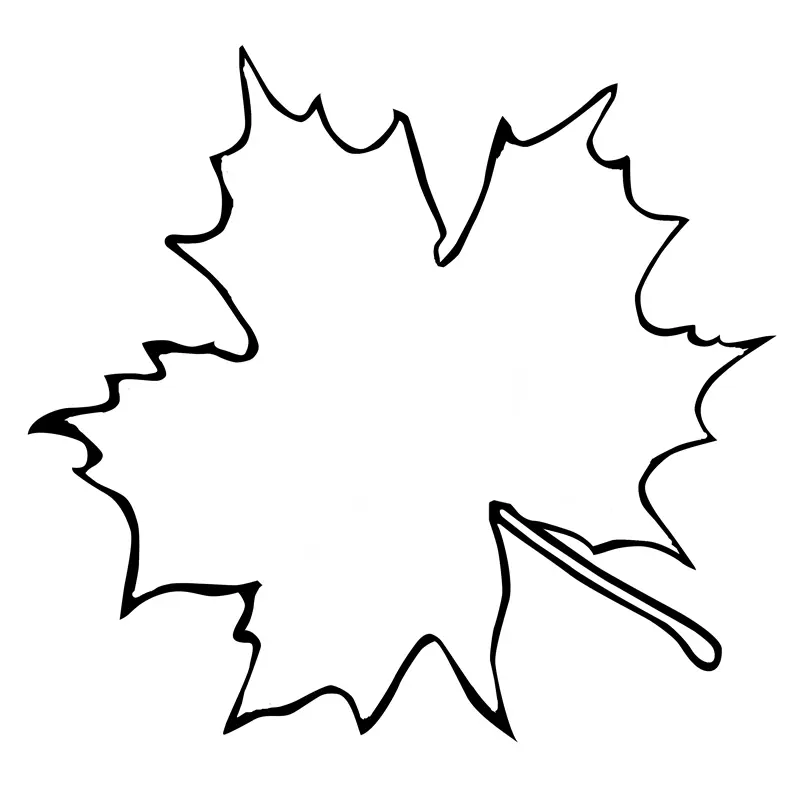 Desenhos de Folhas Para Colorir 39