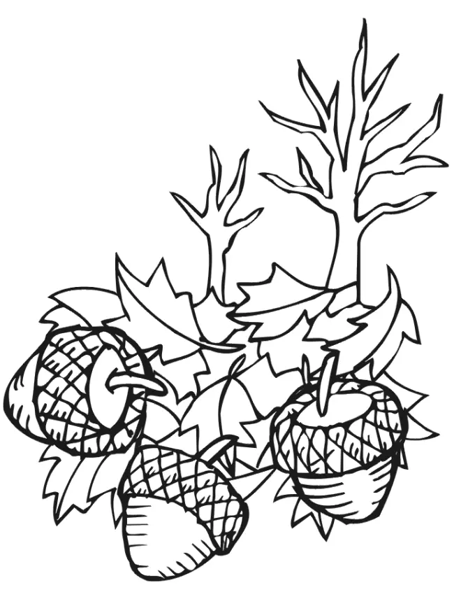 Desenhos de Folhas Para Colorir 41
