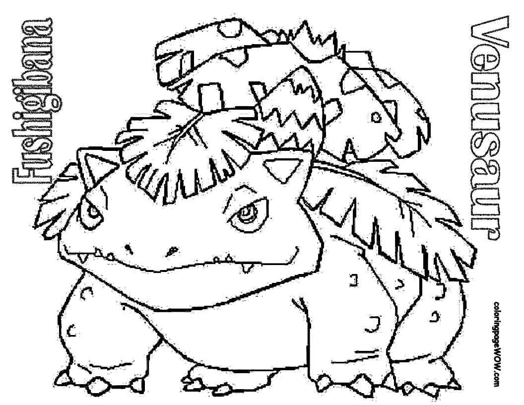 Legendäre Pokemon Ausmalbilder