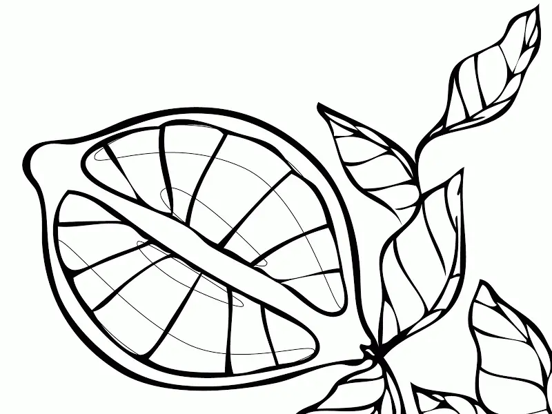 Lemon Coloring Pages 4