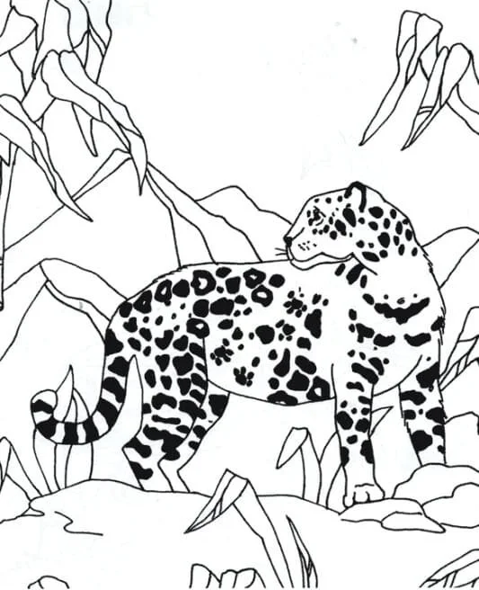 Leopardo Para Colorear 18