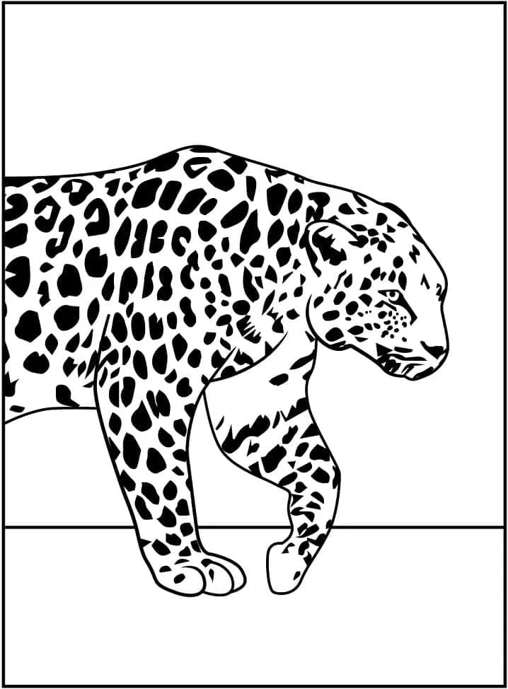 Leopardo Para Colorear 80