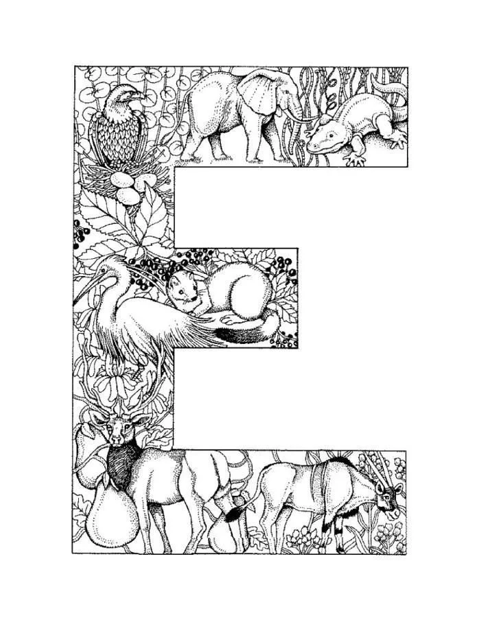 Desenhos de Letra E Para Colorir 52