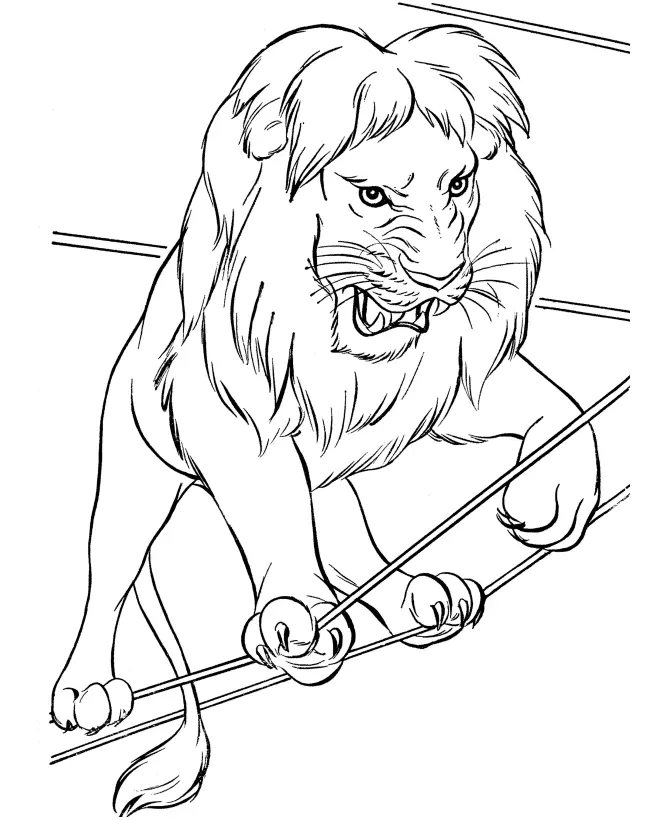 Lion Coloring Pages 100