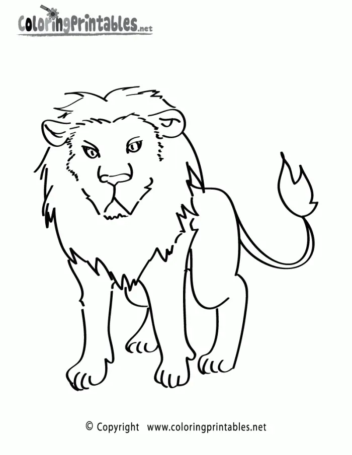 Leones Para Colorear 116