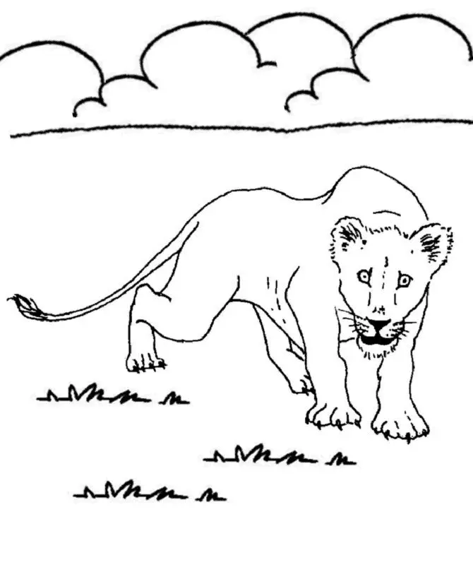 Desenhos de Lion Para Colorir 51
