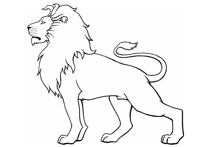 Lion Coloring Pages 98