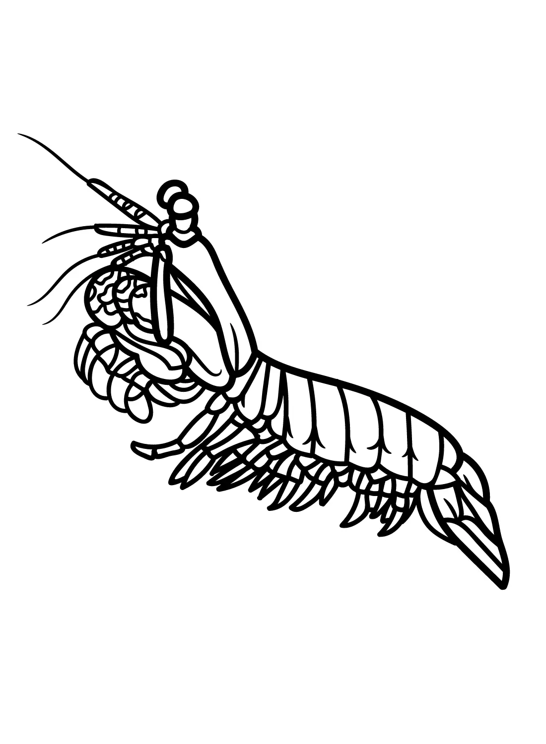 Mantis Shrimp Coloring Pages 2