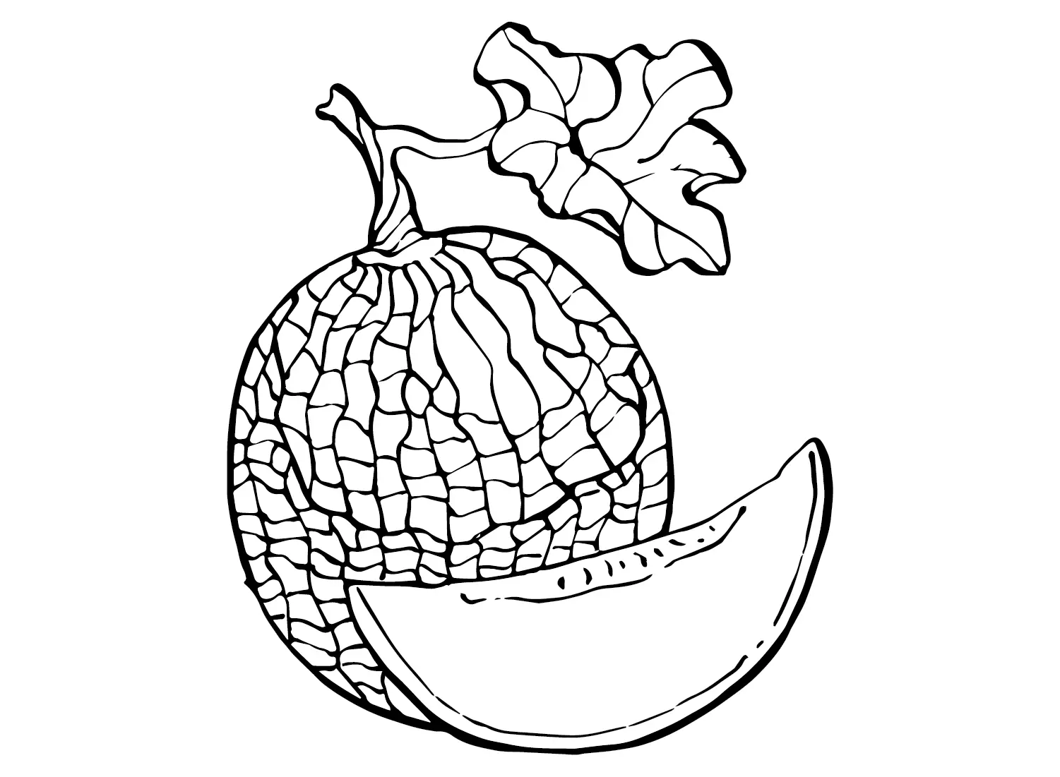 Melonen Ausmalbilder 1