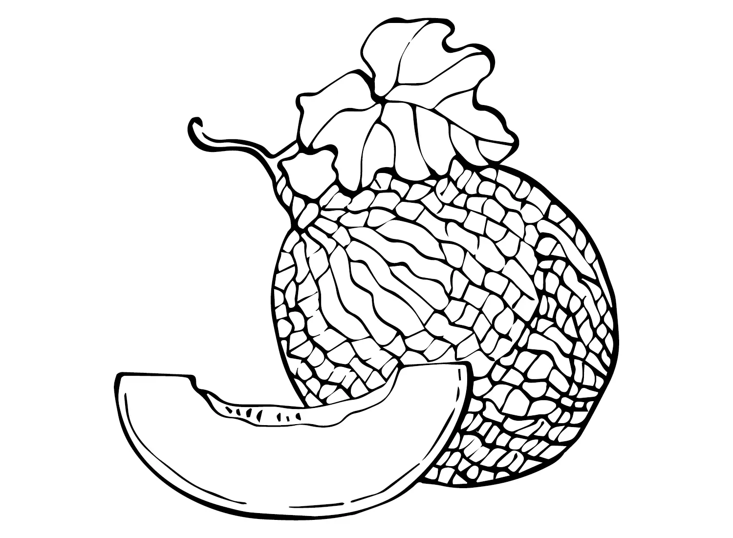 Melonen Ausmalbilder 10