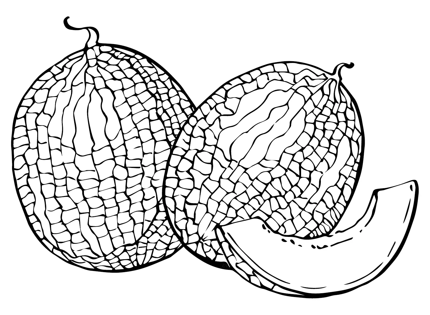 Melones Para Colorear 11