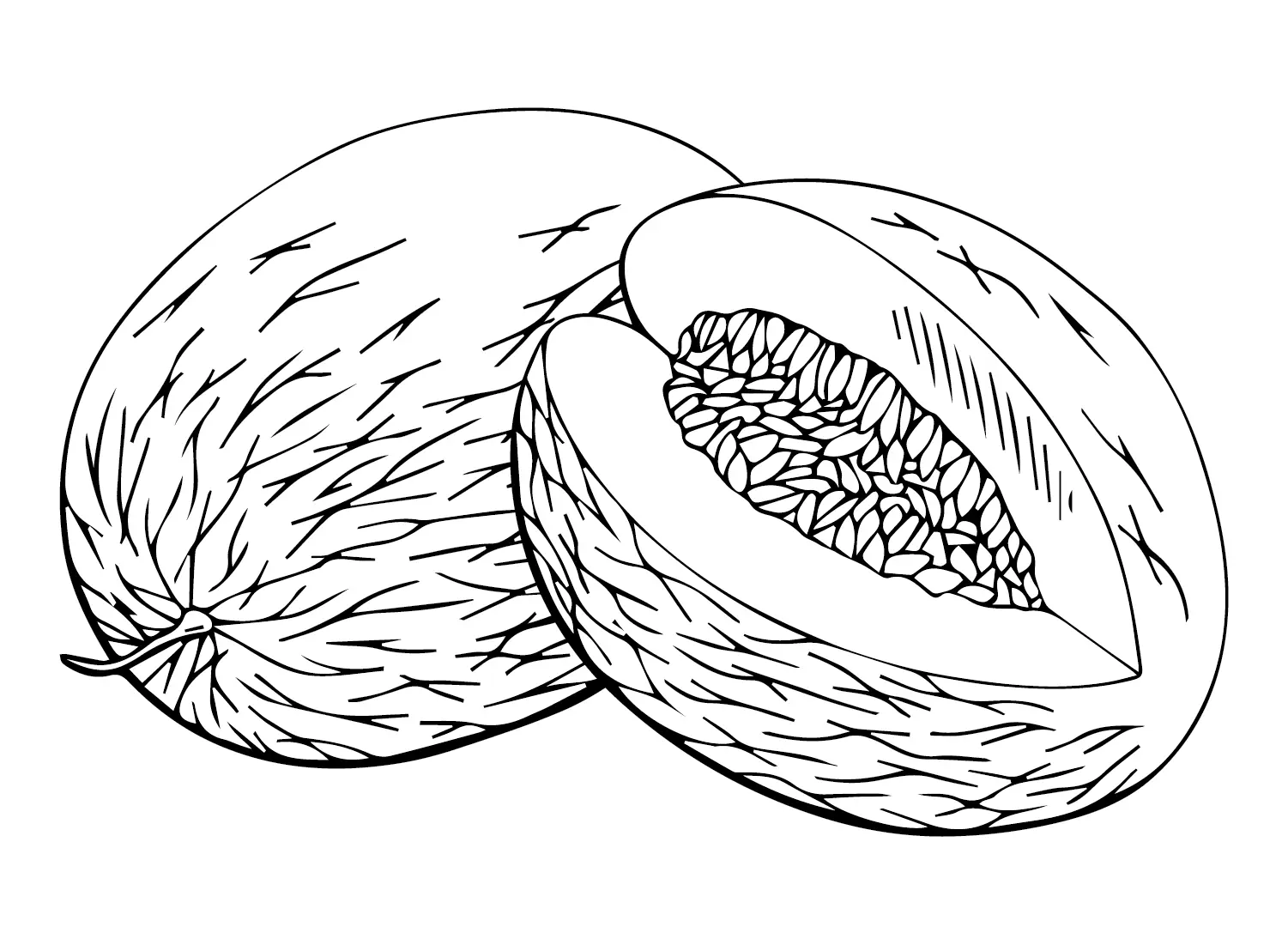Melones Para Colorear 18
