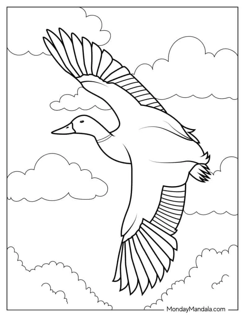 Migration Coloring Pages 10