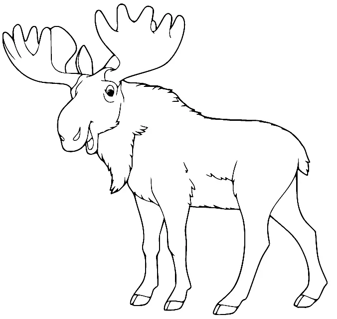 Moose Coloring Pages 50