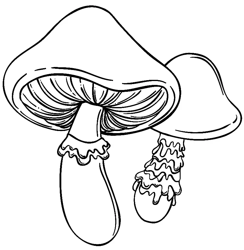 Setas Para Colorear 107