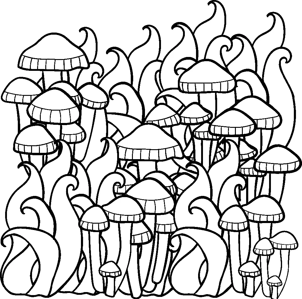 Pilz Ausmalbilder 110
