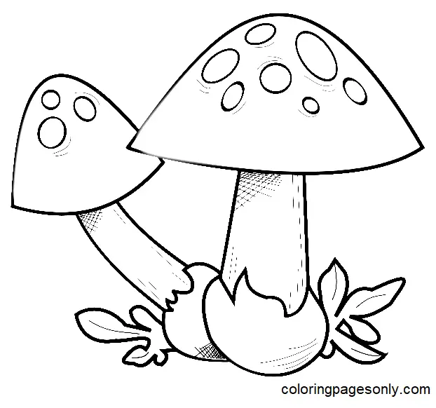 Pilz Ausmalbilder 111