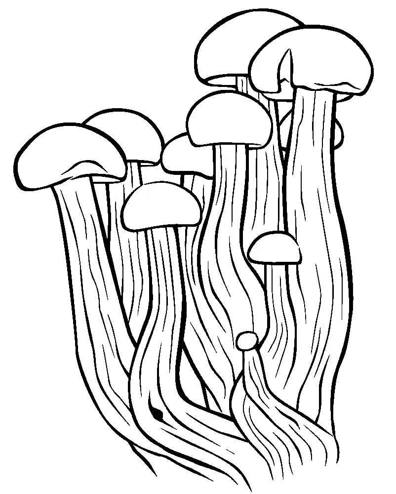 Pilz Ausmalbilder 130