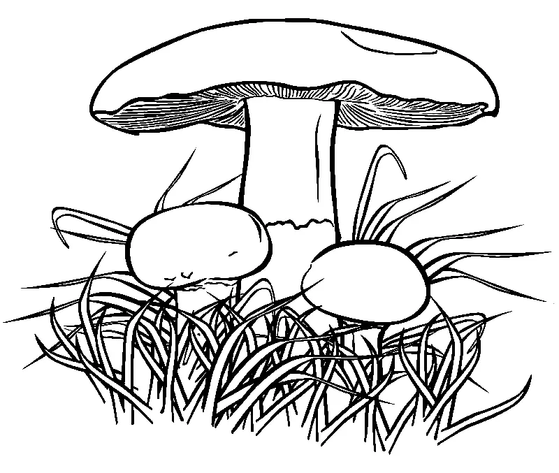 Setas Para Colorear 140