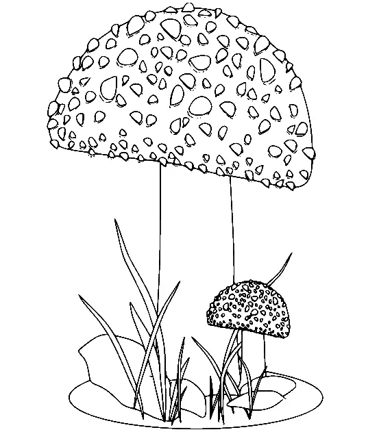 Mushroom Coloring Pages 144