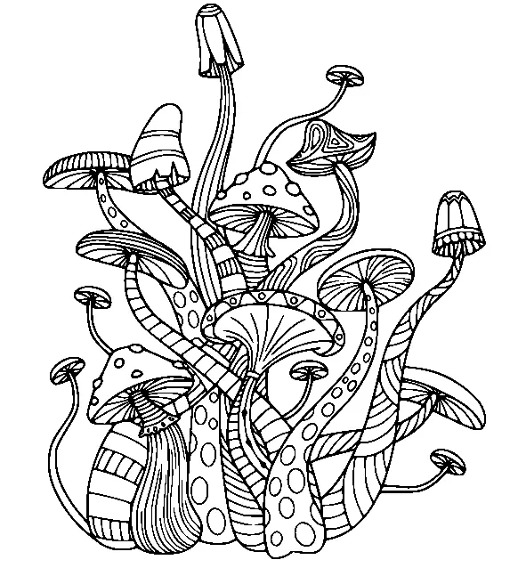 Pilz Ausmalbilder 158