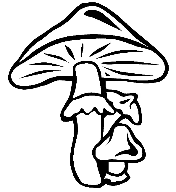 Mushroom Coloring Pages 180