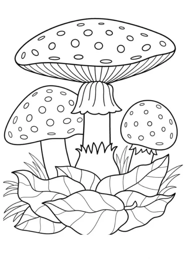 Mushroom Coloring Pages 58