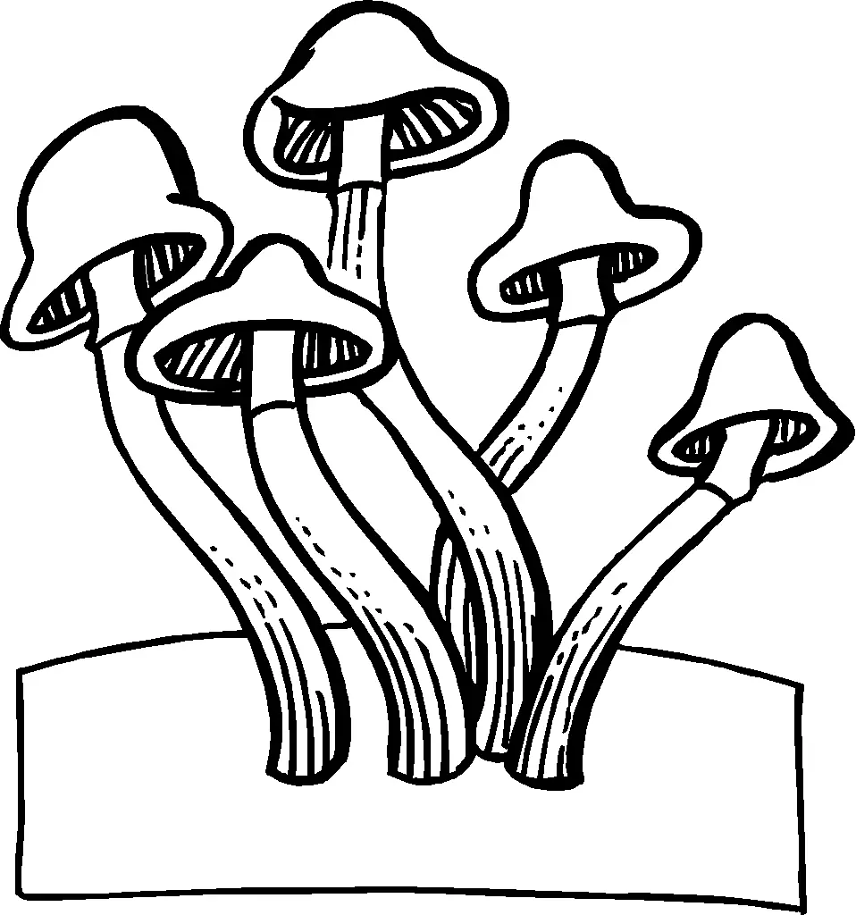 Pilz Ausmalbilder 62