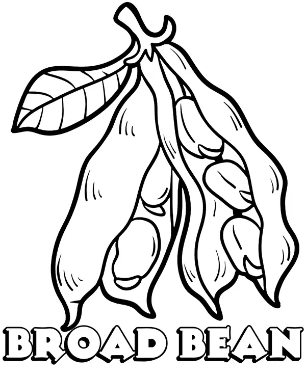 Pilz Ausmalbilder 63