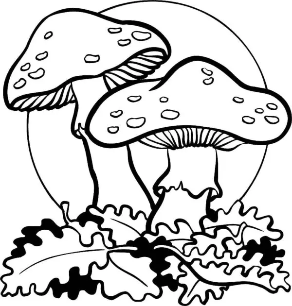 Mushroom Coloring Pages 89