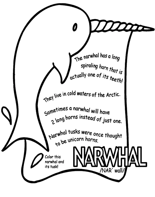 Narval Para Colorear 45