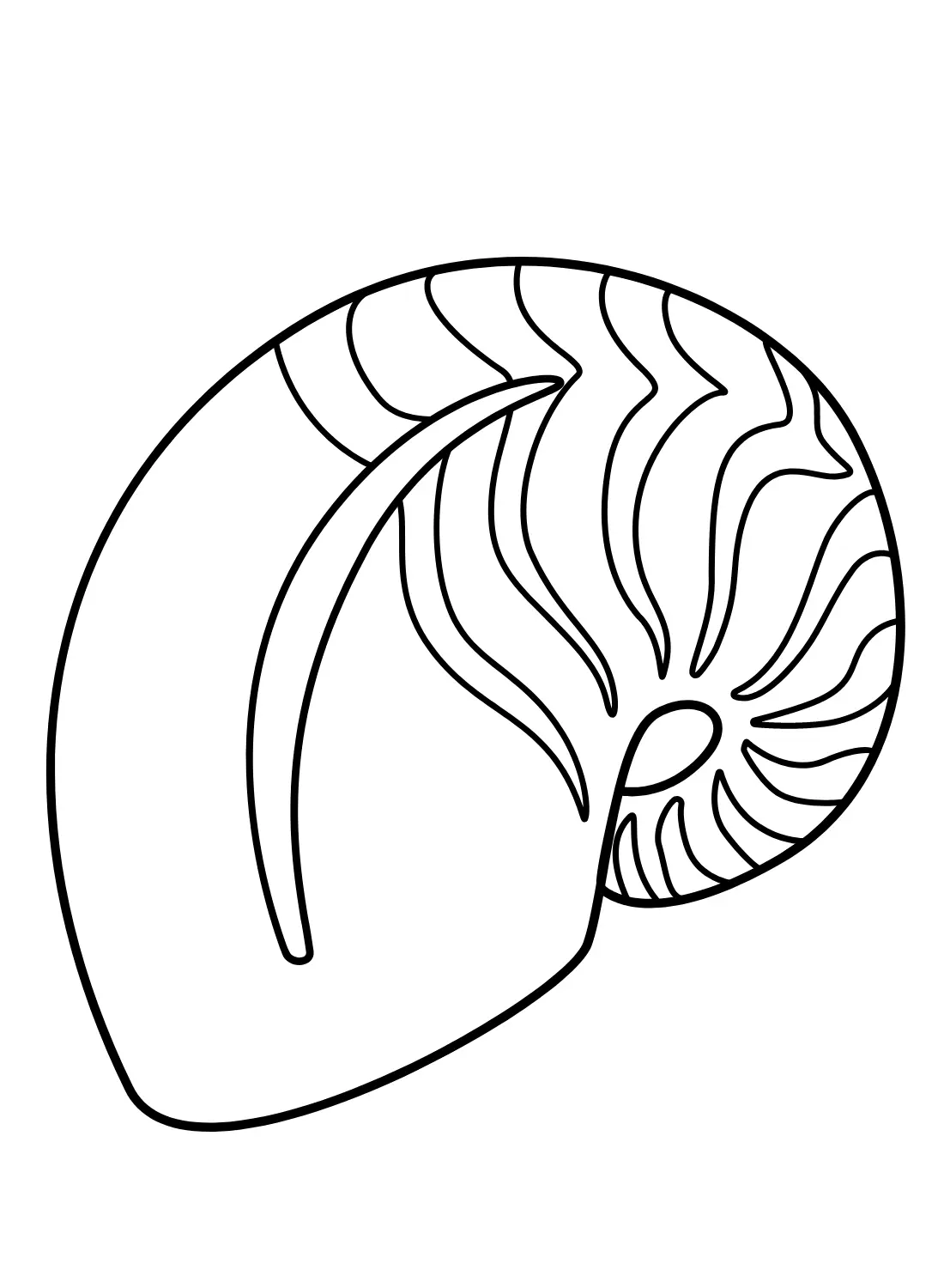 Nautilus Coloring Pages