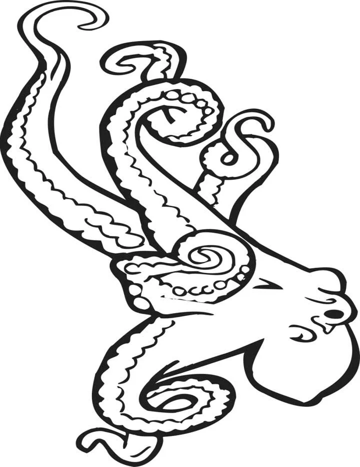 Pulpo Para Colorear 58