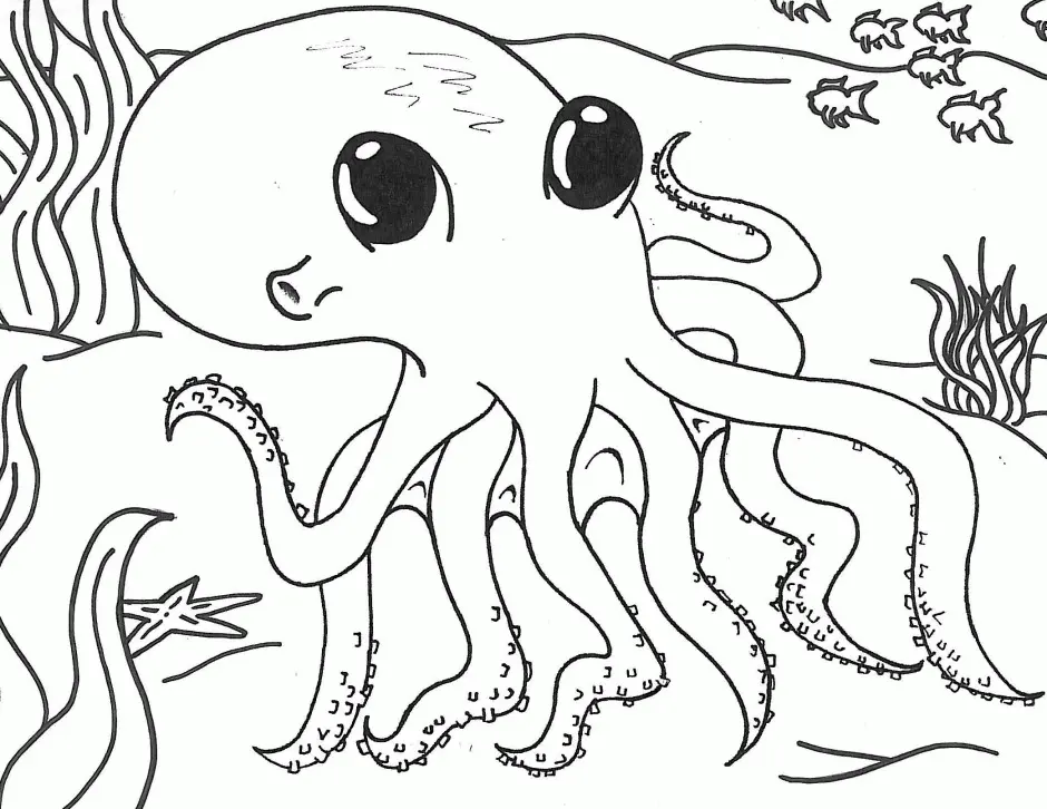 Pulpo Para Colorear 77