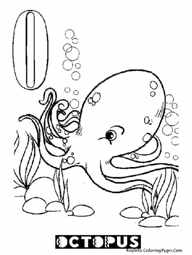 Pulpo Para Colorear 92
