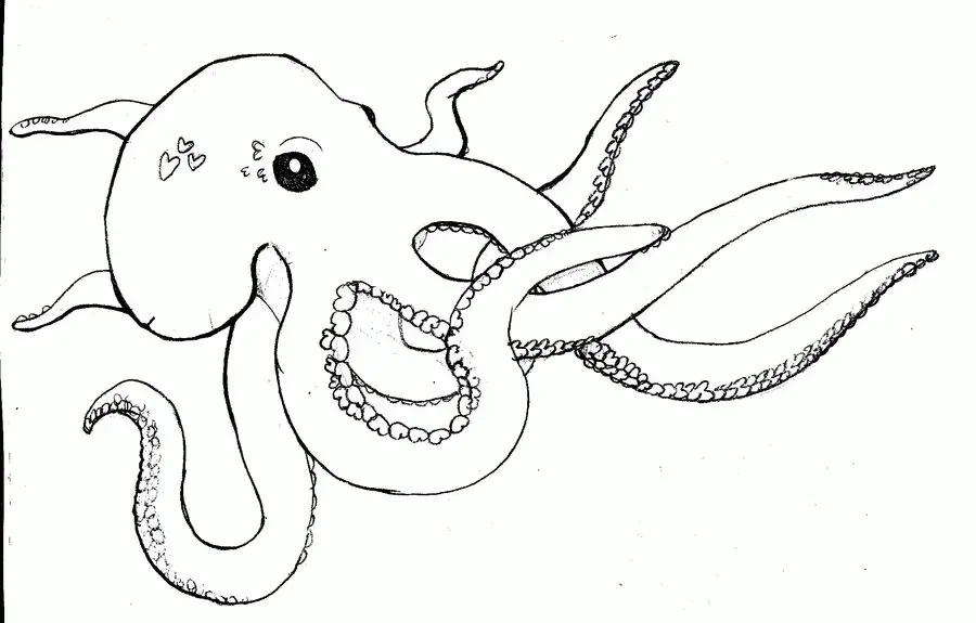 Desenhos de Polvo Para Colorir 95