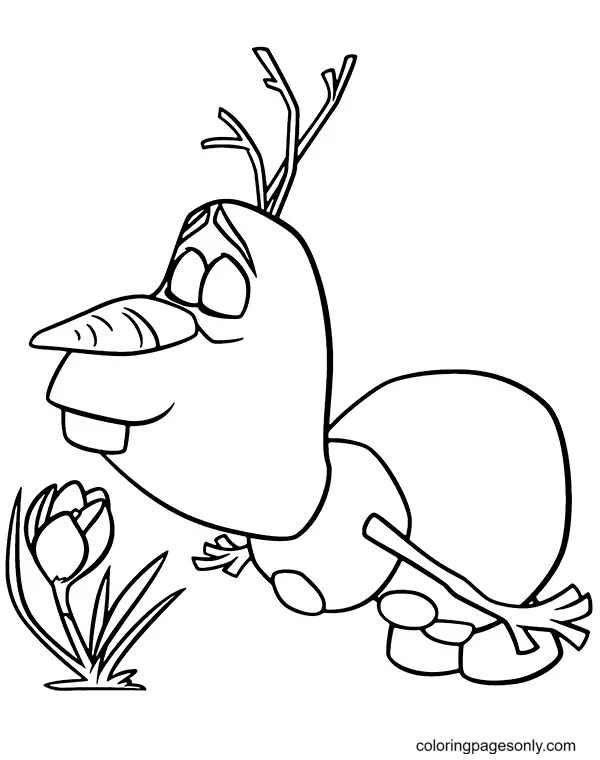 Olaf Coloring Pages 71
