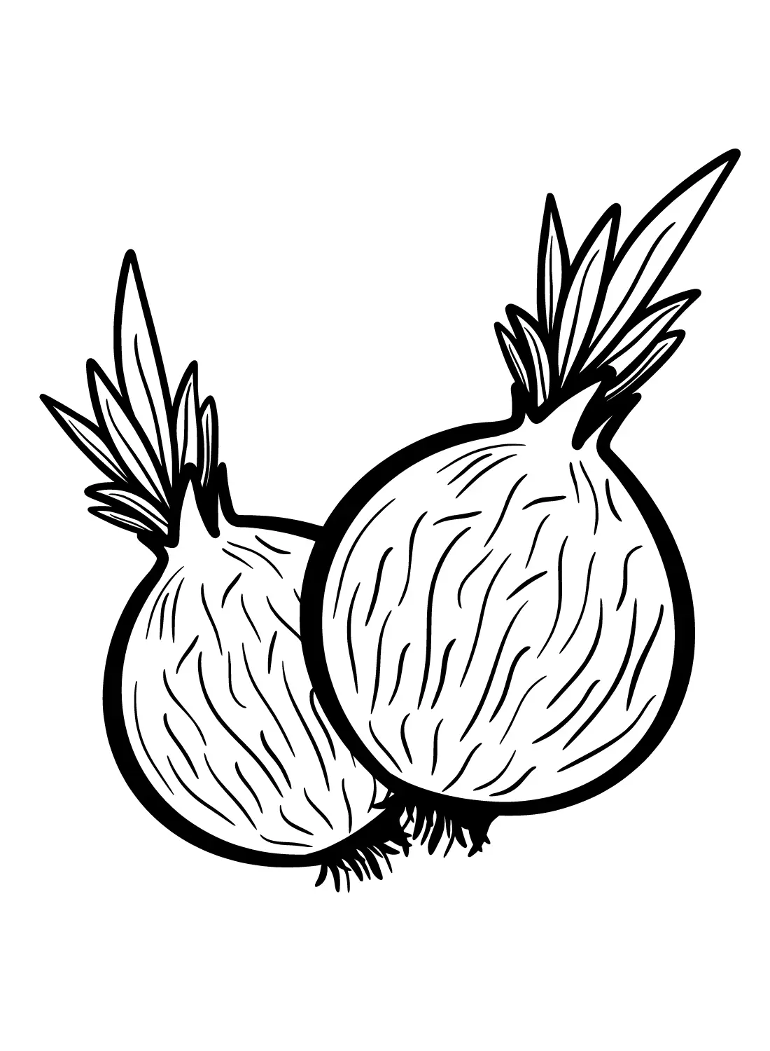 Zwiebel Ausmalbilder 23