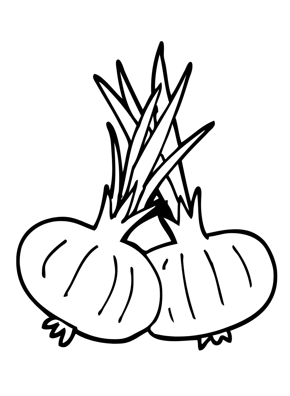 Cebolla Para Colorear 33