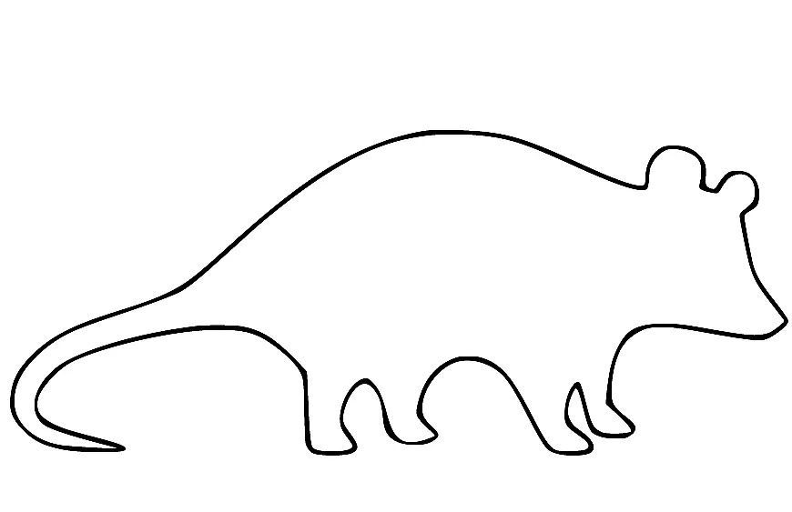 Opossum Coloring Pages