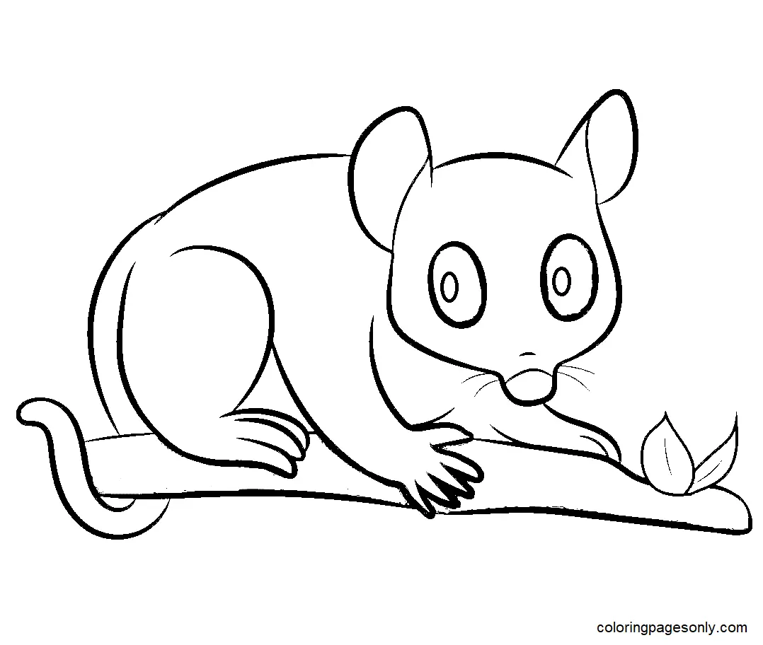 Opossum Coloring Pages 6